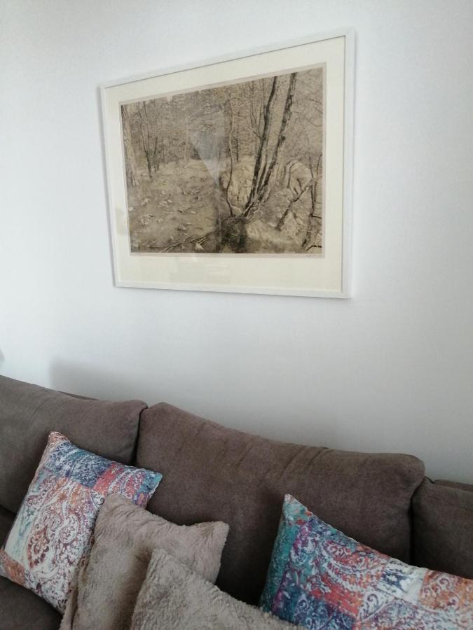 Zlatiborski Konaci K15 Exteriér fotografie